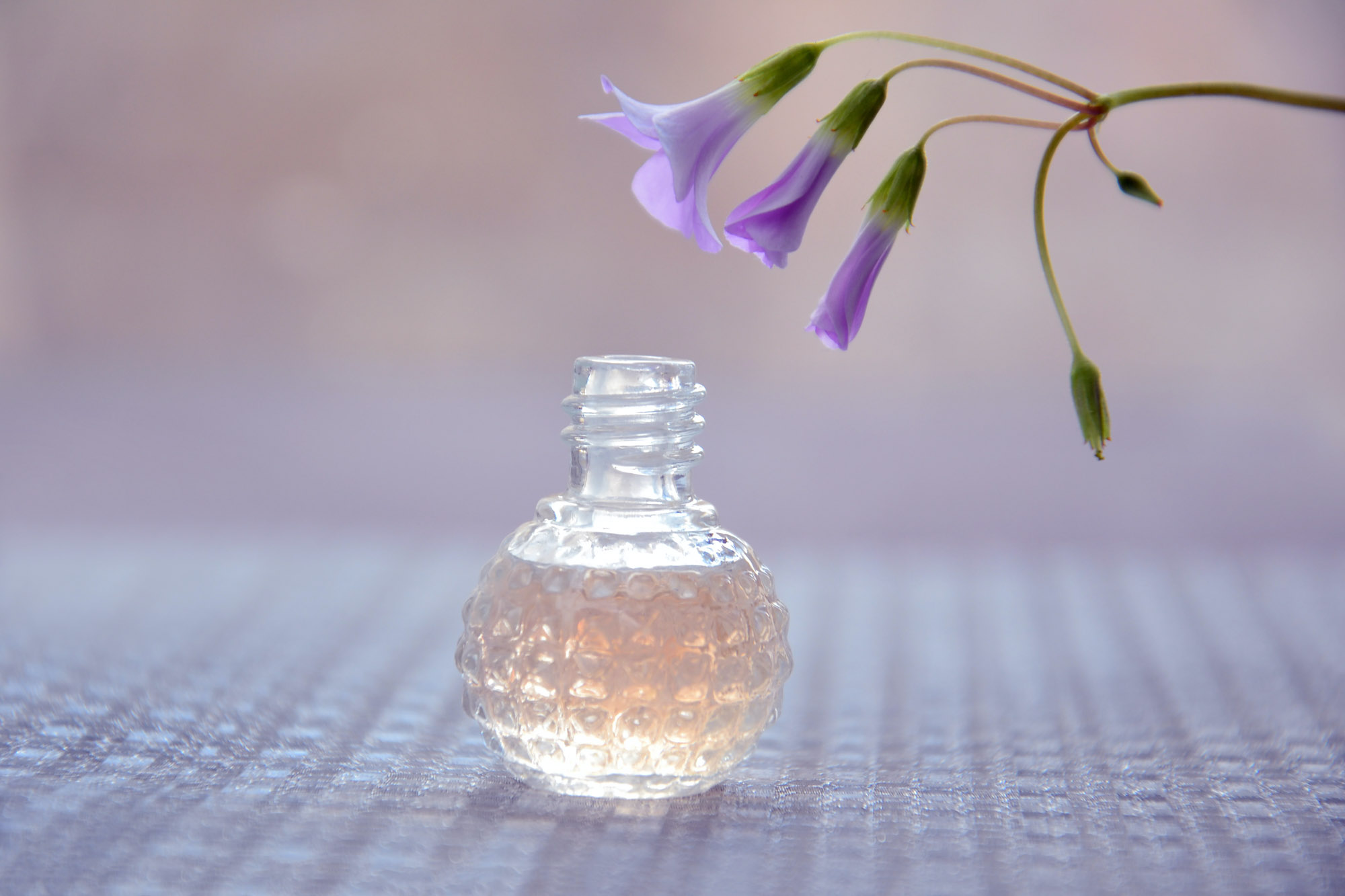 Cosmetica e Profumeria